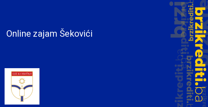 Online zajam Šekovići